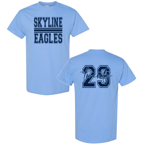 Gildan Heavy Cotton Basic T-Shirt -- Carolina Blue, Sophomores