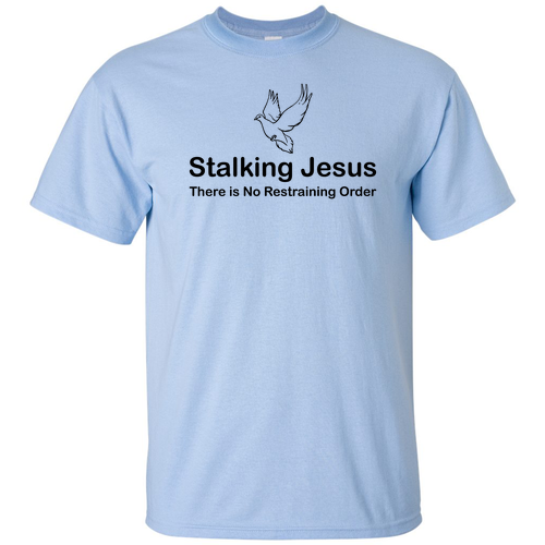 Gildan Ultra Cotton Basic T-Shirt -- Carolina Blue