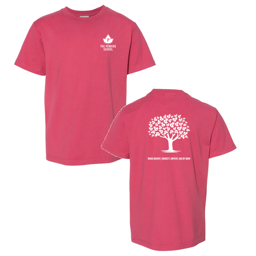 ComfortWash by Hanes Garment Dyed Youth Short Sleeve T-Shirt -- Crimson Fall