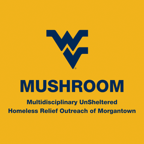 Gildan SoftStyle T-Shirt -- Gold