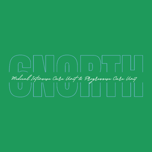 Heavy Cotton T-Shirt -- Turf Green