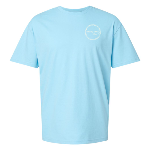 Gildan SoftStyle T-Shirt -- Sky