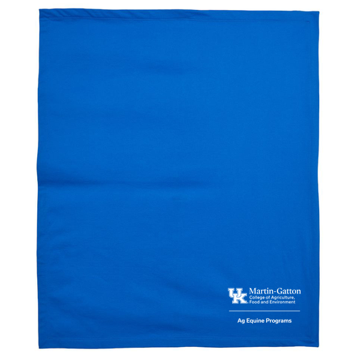 GIldan Heavy Blend Fleece Stadium Blanket -- Royal