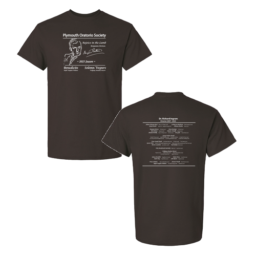 Gildan Ultra Cotton Basic T-Shirt -- Dark Chocolate