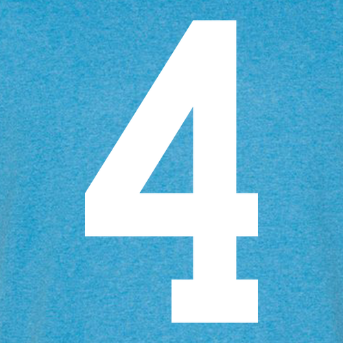 Carrion and Gillespie 4th Grade Class Heather Sapphire- YOUTH size