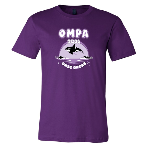 Bella Canvas Unisex Jersey T-Shirt -- Team Purple