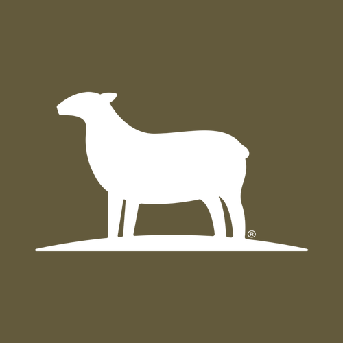 Discontinued The North Face Truckstop Beanie -- New Taupe Green