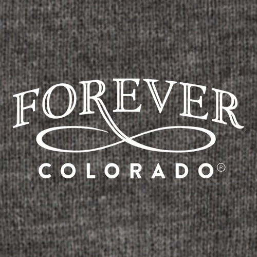 Carhartt Watch Hat 2.0 -- Coal Heather