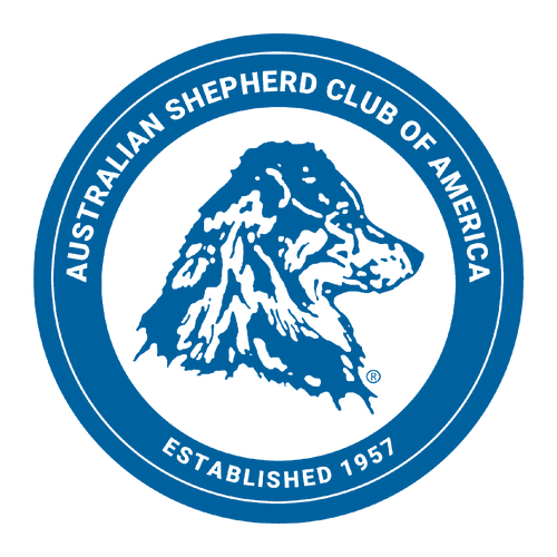 Gildan Heavy Cotton Longsleeve Basic T-Shirt -- White