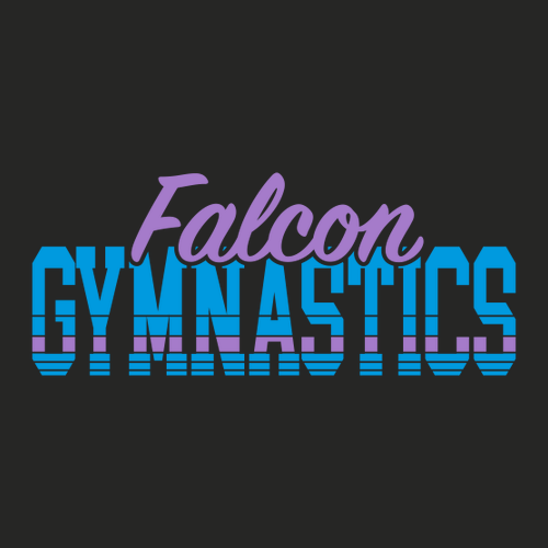 Falcon Gymnastics Youth Hooded Sweatshirt -- Black