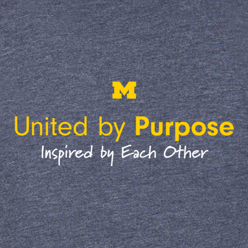 Ladies Next Level Soft Fitted Triblend Tee -- Vintage Navy