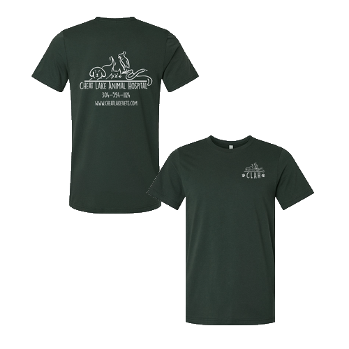 Bella Canvas Unisex Jersey T-Shirt -- Hunter Green