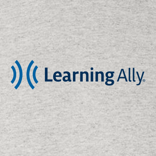 Gildan Heavy Cotton Longsleeve Basic T-Shirt -- Ash