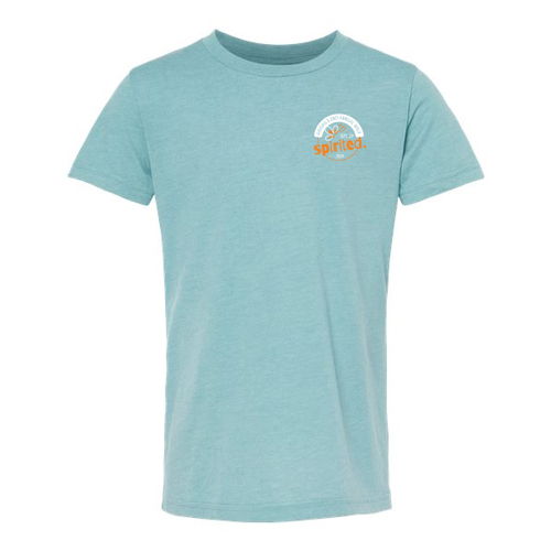 YOUTH Bella Canvas Heather CVC Short Sleeve Tee -- Heather Blue Lagoon