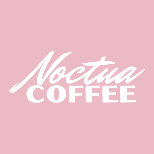 Comfort Colors Heavyweight Adult T-Shirt -- Blossom