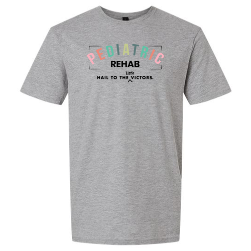 SoftStyle T-Shirt -- Sport Grey