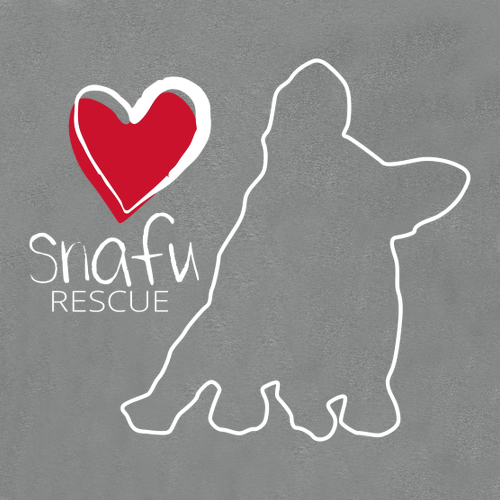 District Perfect Weight Fleece Hoodie -- Heathered Steel