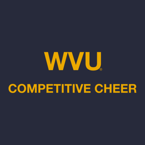 Design 2 Gildan SoftStyle T-Shirt -- Navy