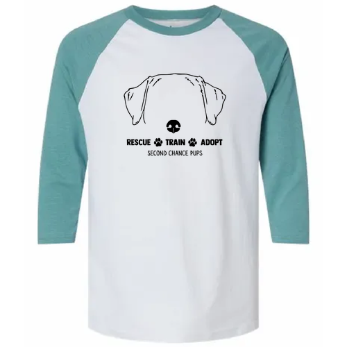 American Apparel CVC Unisex Raglan T-Shirt -- White / Heather Arctic