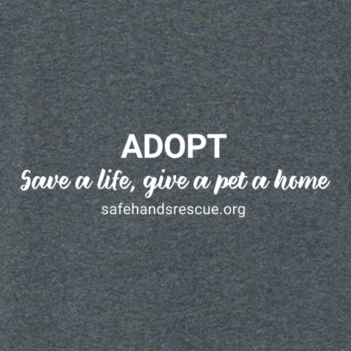 Gildan Heavy Blend Hooded Sweatshirt -- Dark Heather