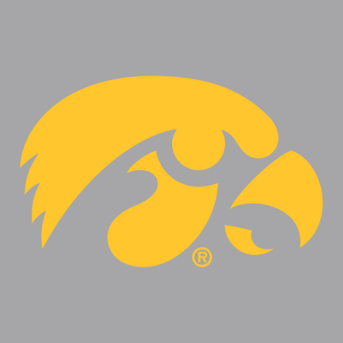 Gildan Adult Softstyle Fleece Crew Sweatshirt -- Sport Grey