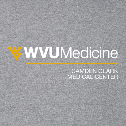 Gildan Heavy Cotton Longsleeve Basic T-Shirt -- Graphite Heather