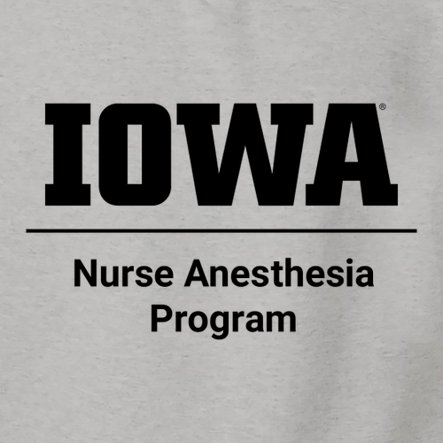 Nurse Anesthesia J America Unisex BTB Fleece Hooded Sweatshirt -- Oxford