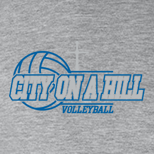 Gildan Adult Softstyle Fleece Crew Sweatshirt -- Rs Sport Grey