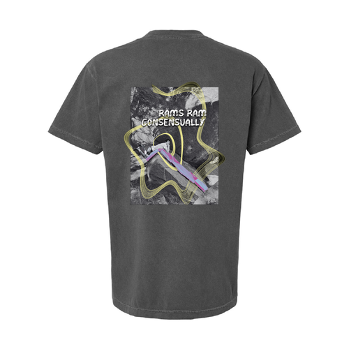 American Apparel Garment Dyed T-Shirt -- Faded Black