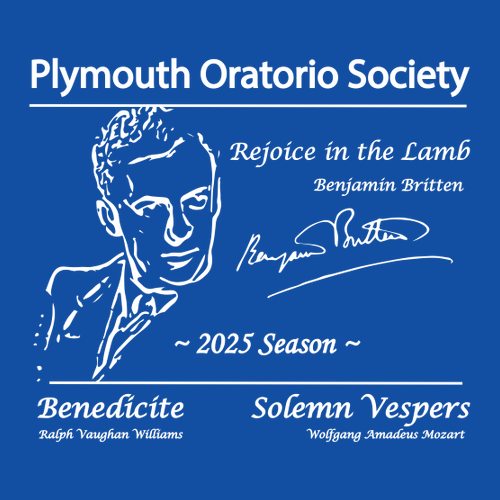 Gildan Ultra Cotton Basic T-Shirt -- Antique Royal