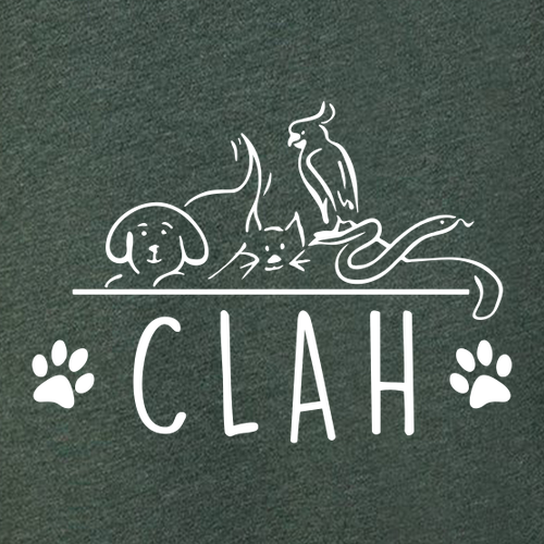Bella+Canvas Unisex Heather Cvc Long Sleeve Tee- Heathers -- Heather Forest