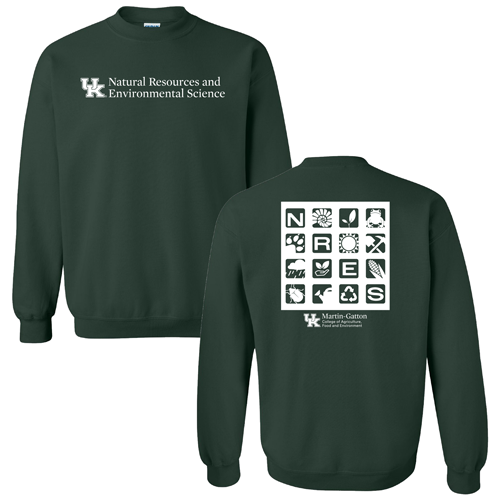 Gildan Heavy Blend Crew Neck Sweatshirt -- Forest Green