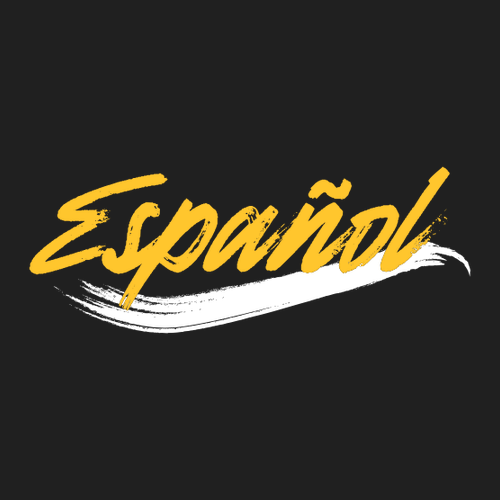 Español District Re-Fleece Hoodie -- Black