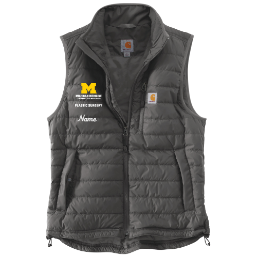 Mens/Unisex Carhartt Gilliam Vest -- Shadow Grey