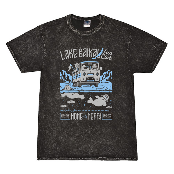 Colortone Mineral Wash T-Shirt -- Mineral Black