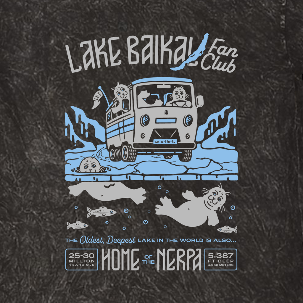 Colortone Mineral Wash T-Shirt -- Mineral Black