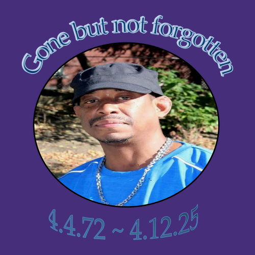 Cotton Tee  -- Purple