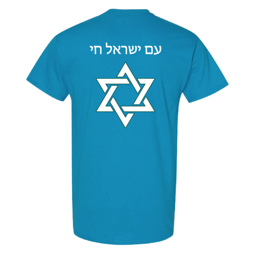 Gildan Heavy Cotton Basic T-Shirt -- Sapphire