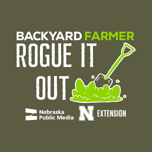 Rogue It Out Short Sleeve T-Shirt