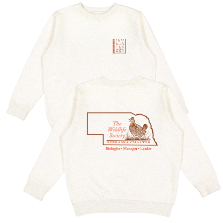 Youth Crewneck Sweatshirt -- Natural Heather