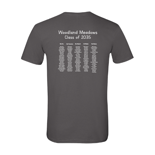 Mens/Unisex Gildan SoftStyle T-Shirt -- Charcoal