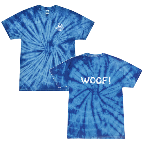 Colortone Unisex Multi-Color Tie-Dyed T-Shirt -- Spider Royal