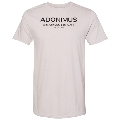 Gildan SoftStyle Ice Grey Adonimus T-Shirt