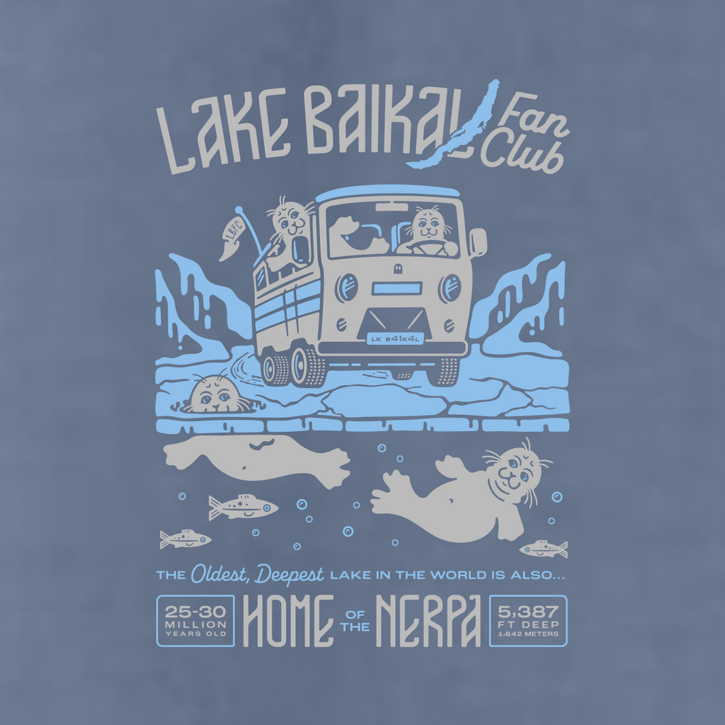 Comfort Colors Heavyweight Adult T-Shirt -- Blue Jean