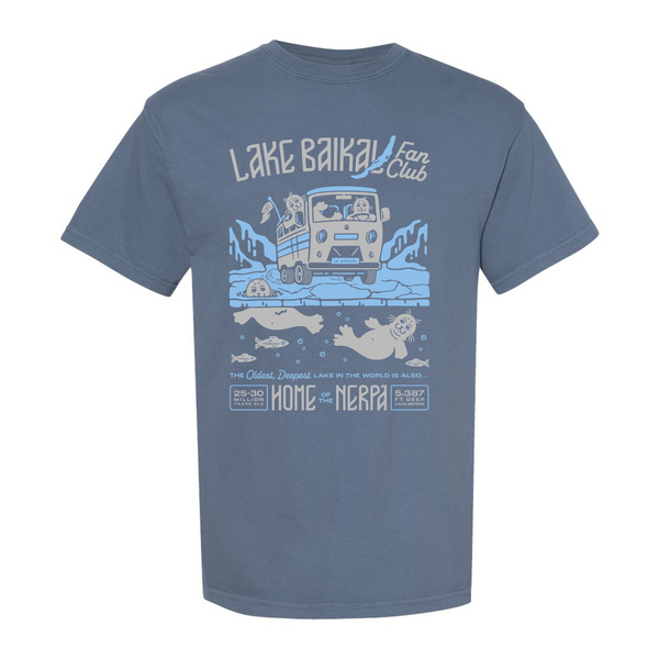 Comfort Colors Heavyweight Adult T-Shirt -- Blue Jean