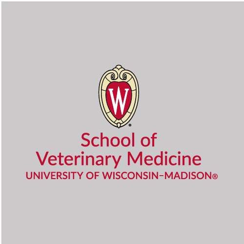 Carhartt Force Solid Short Sleeve Shirt -- Steel