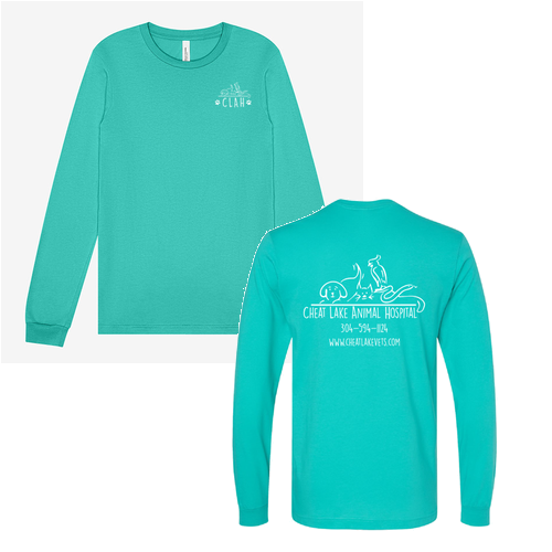 Bella Canvas Unisex Jersey Longsleeve Tee -- Teal