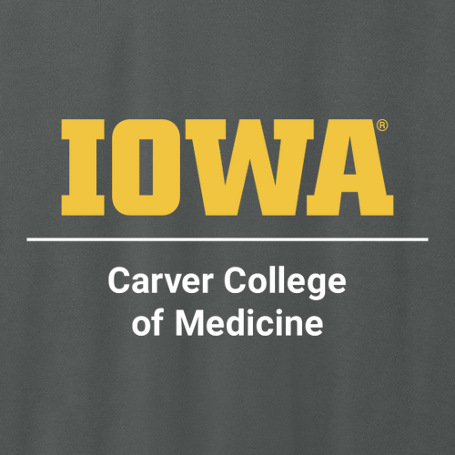 Comfort Colors Heavyweight Adult T-Shirt -- Pepper