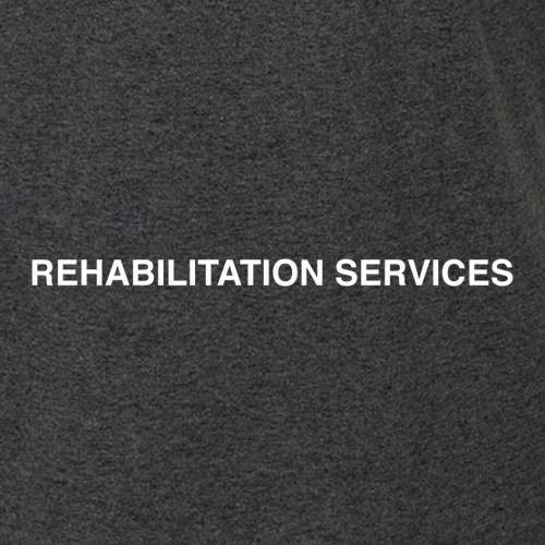 Gildan SoftStyle Fitted T-Shirt -- Dark Heather