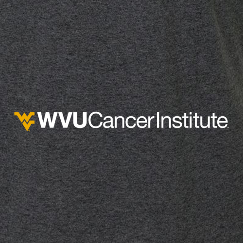 Gildan SoftStyle Fitted T-Shirt -- Dark Heather